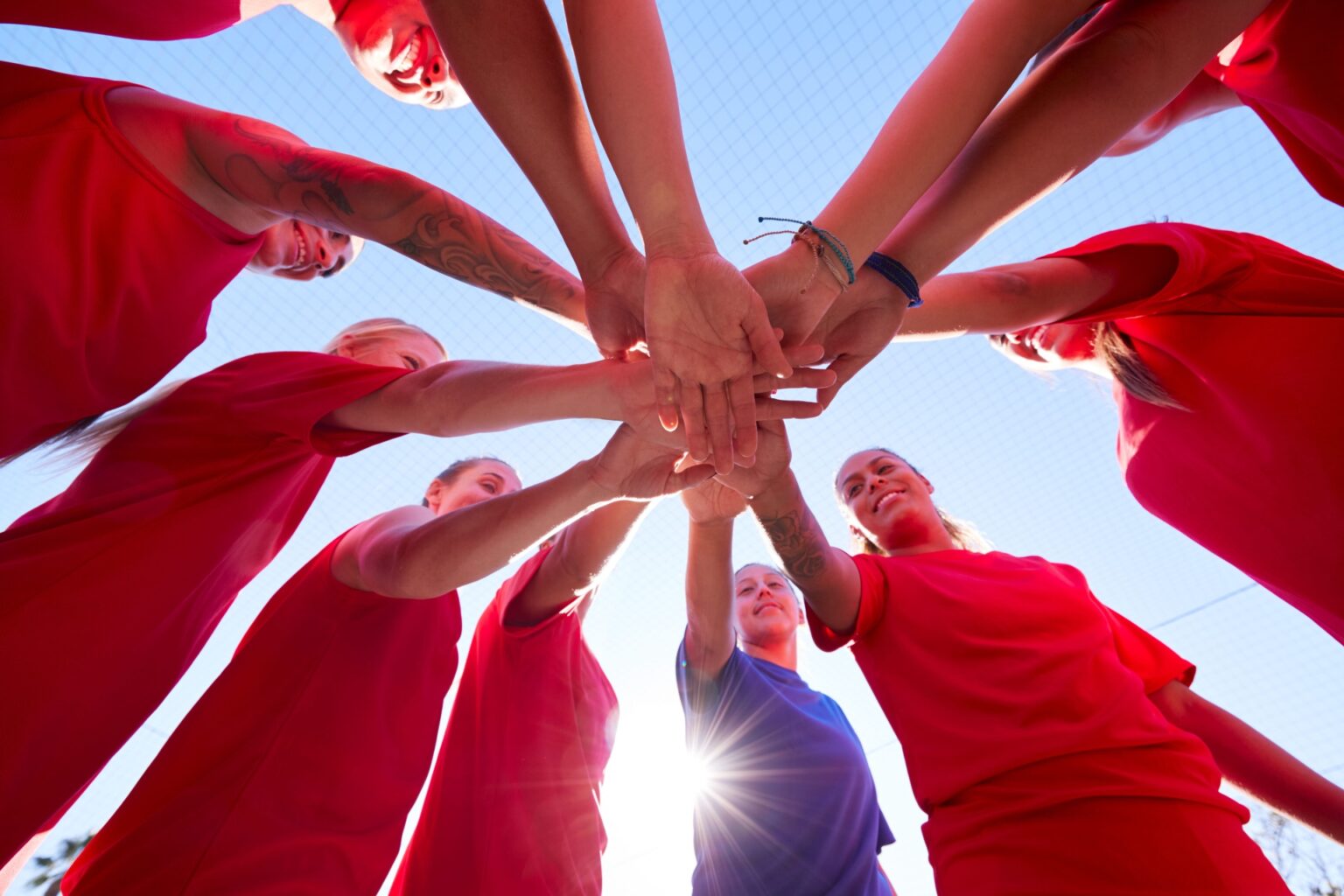 Old Team – Professionals in Distribution and HoReCa
